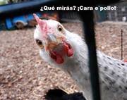 xEWZOLtUsPVJyep-400x400-noPad.jpg?152066