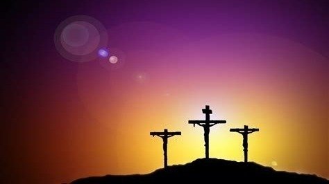 Petition · Appeal to stop scheduling football and other major sports