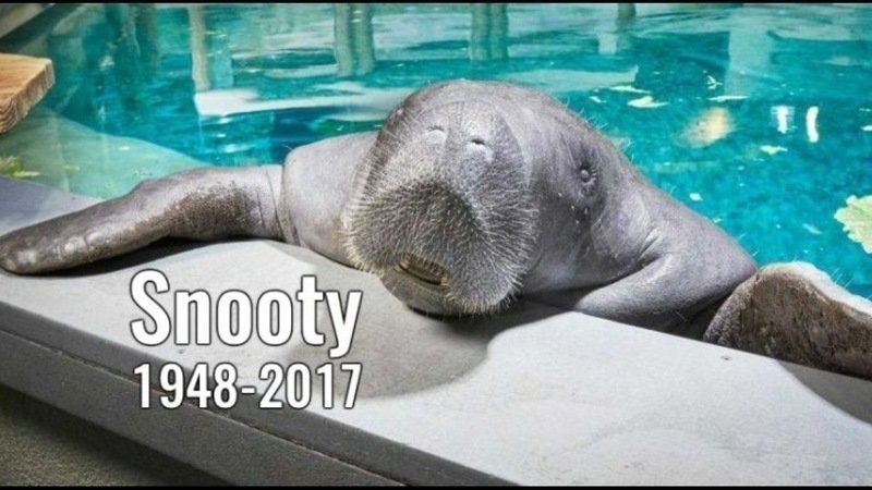 Petition · Manatee County Board of Education : Name the new high school