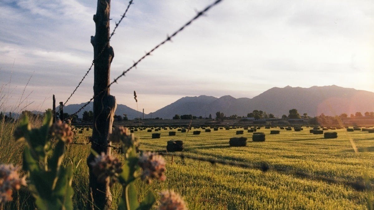 Petition · Preserve Salem's Rural CharmPut A Lower Density