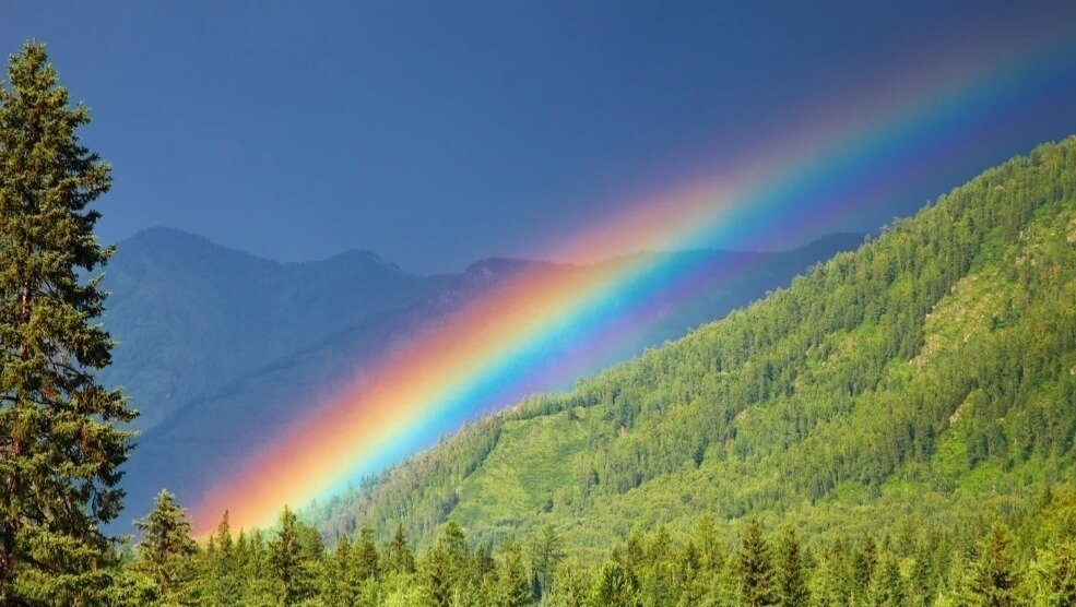 Petition · Stop North Ayrshire Council cutting early years staff hours