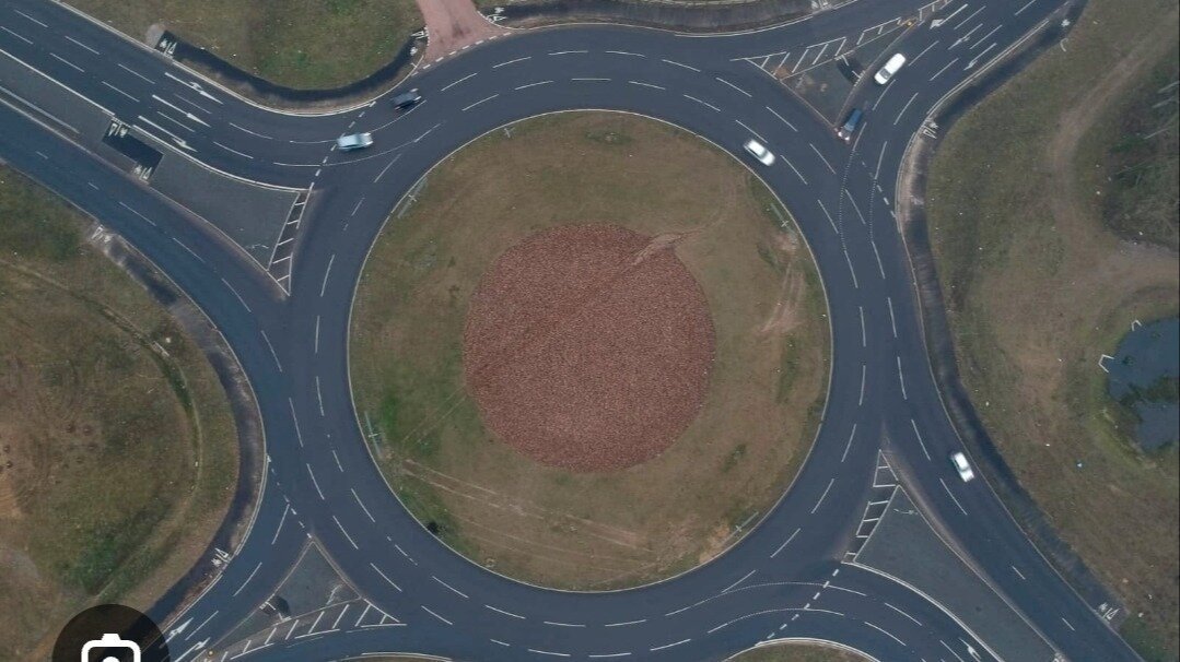 Petition · Install CCTV Cameras on NDR and Roundabouts in Norfolk ...