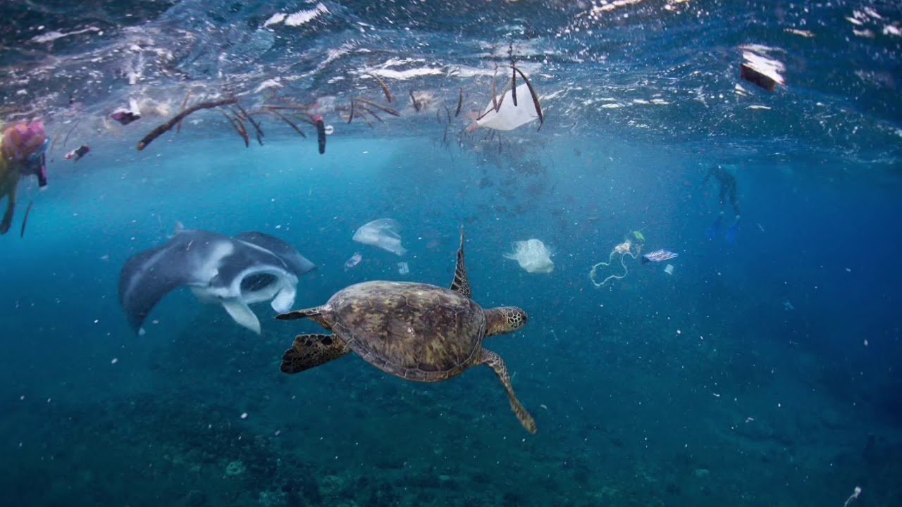 Petition · Reducing Springville City's/Utah's use of plastic products and plastic waste in