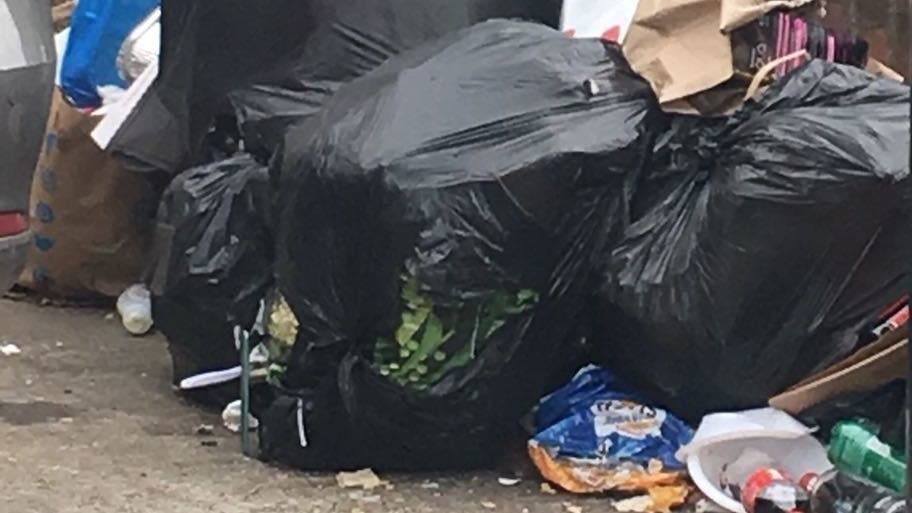 Petition · For the Borough of Redbridge to provide a wheelie bin