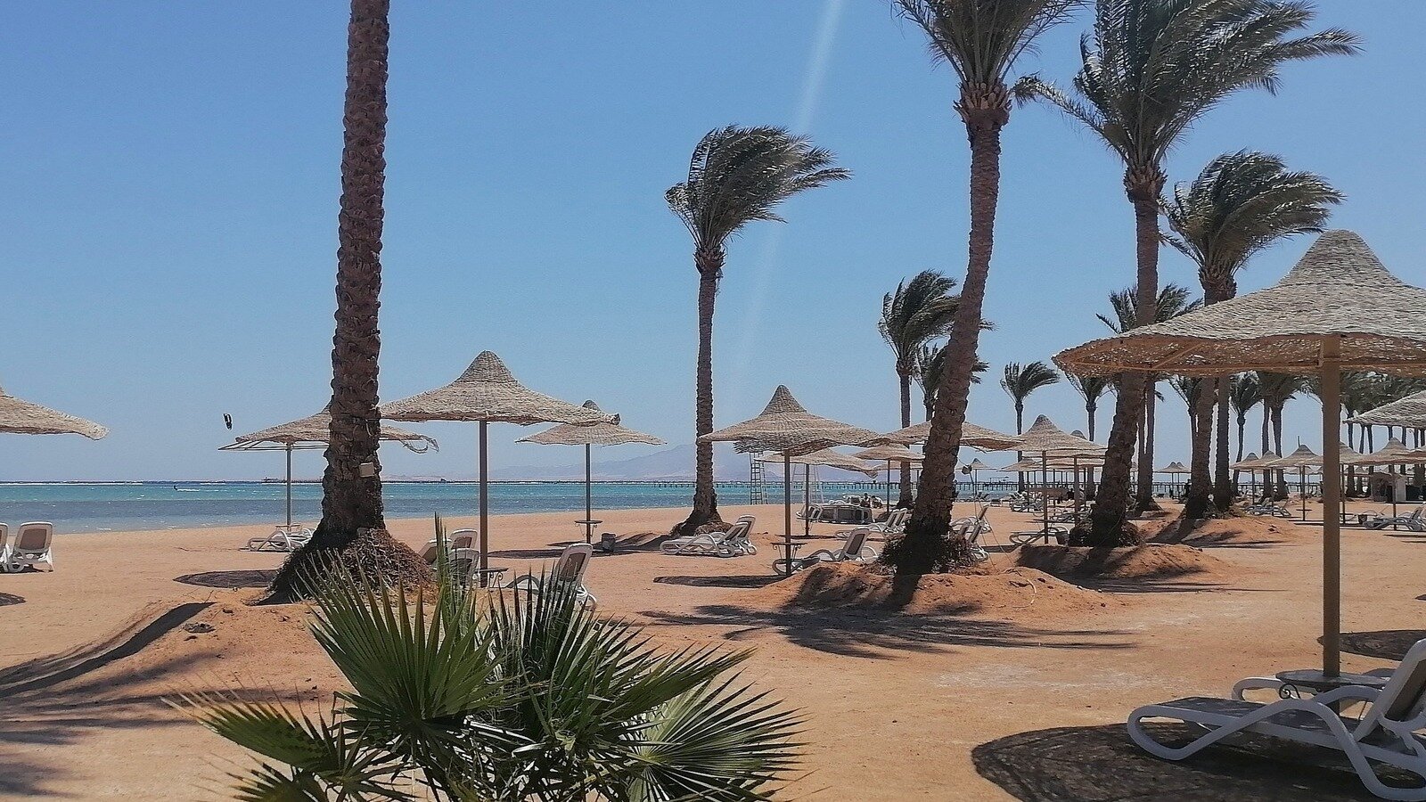 Petition · Open up beaches for the people of Nabq, Sharm el Sheikh ...
