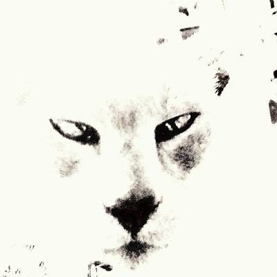 ChangeOrg profile picture for @flailing
