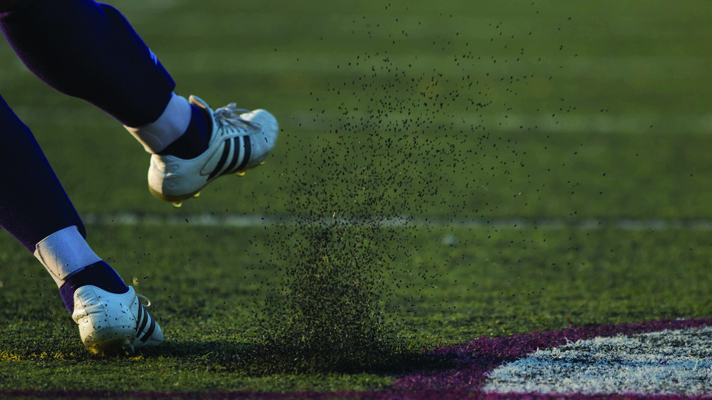 Petition · Stop the Permitting of an Artificial Turf Field Whose Rubber