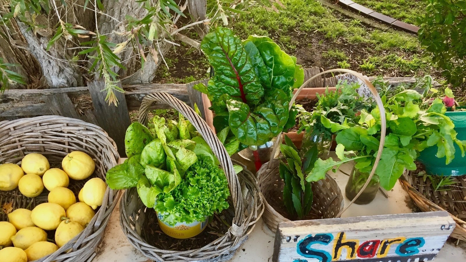 Petition · Save the Portarlington Food is Free Laneway Australia