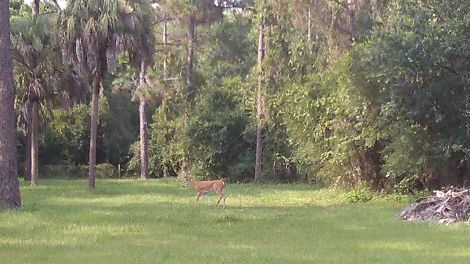 Petition · Save wildlife and nature from excessive development